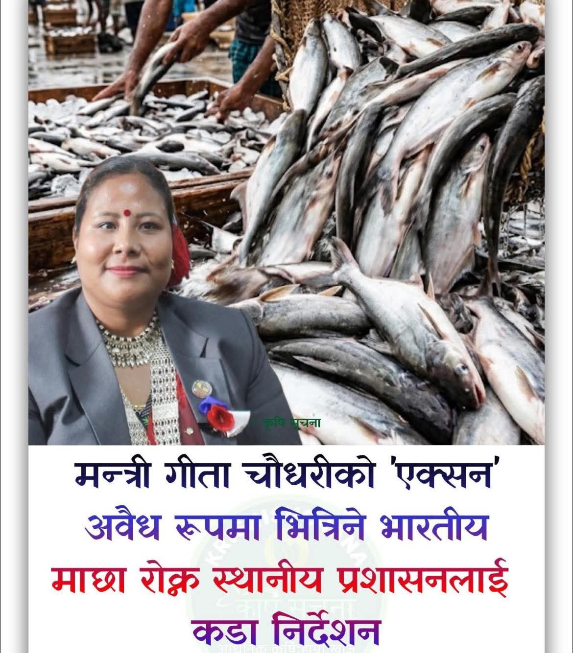 भारतबाट हुने माछाको अवैध आयात नियन्त्रण गर्न निर्देशन।