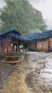 देशभर मनसुनी वायुको प्रभाव कायम रहेको जल तथा मौसम पूर्वानुमान महाशाखाले जनाएको छ।
