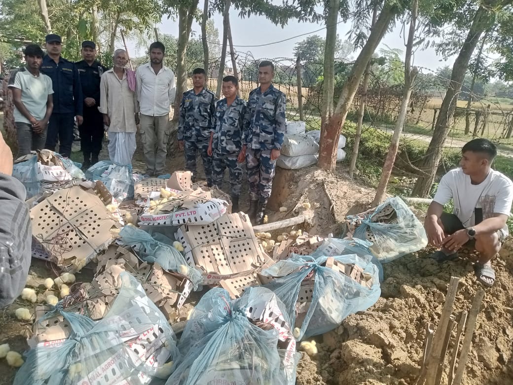 सशस्त्र प्रहरी पर्साद्धारा ३९ लाखभन्दा बढी मूल्यको अवैध सामान भन्सारमा दाखिला।