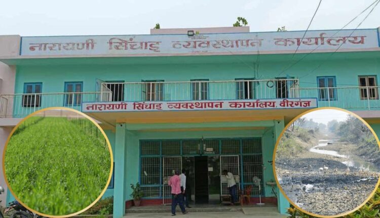 गण्डक नहरमा पानी बन्द: पर्सा, बारा र रौतहटका किसान समस्यामा