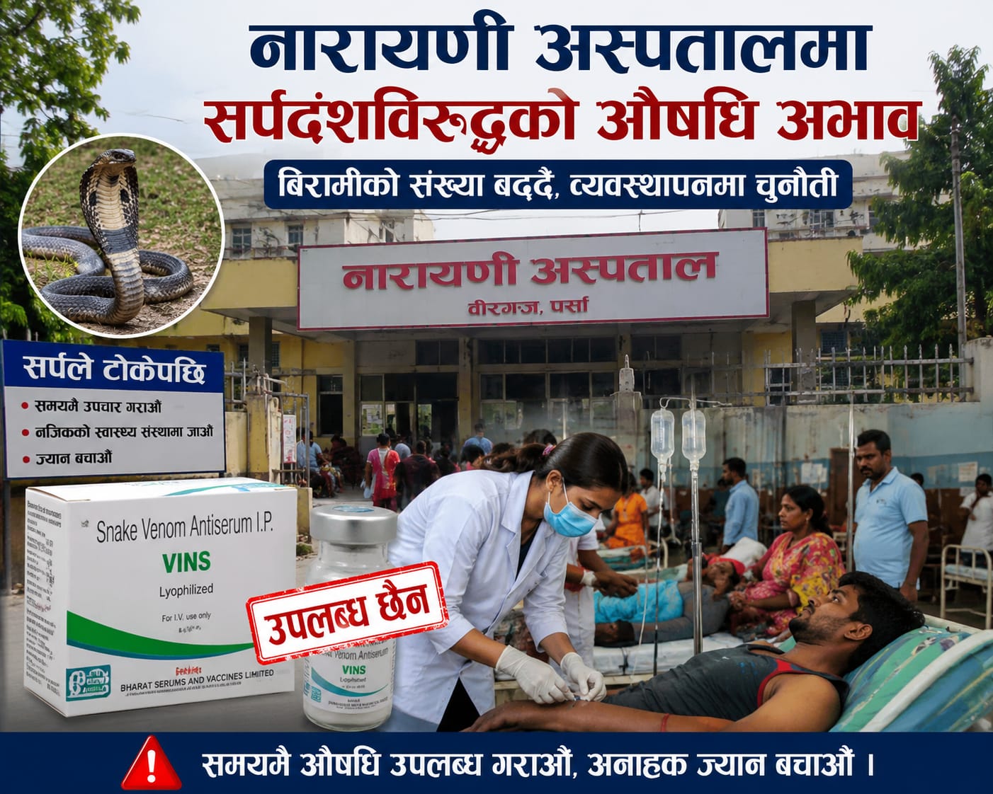 नारायणी अस्पतालमा सर्पदंशविरुद्धको औषधि अभाव, बिरामी बढ्दै जाँदा झन् जोखिम।