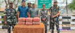 नेपाल–भारत सीमामा ३२ किलोभन्दा बढी गाँजासहित भारतीय चालक पक्राउ।
