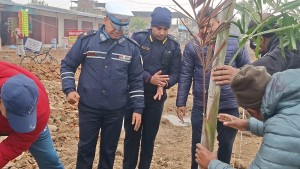 बीरगंजमा वृहत वृक्षारोपण कार्यक्रम सम्पन्न, हरियाली सहर निर्माणतर्फ साझा पहल।