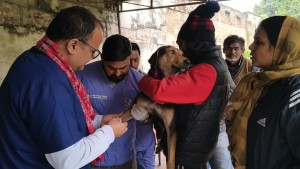 वीरगञ्जमा सामुदायिक कुकुर बन्ध्याकरण (नसबन्दी) कार्यक्रम सम्पन्न।