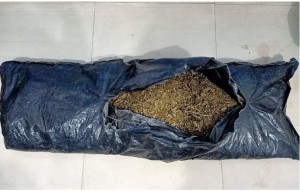 पर्सामा १६० किलो गाँजा बरामद, चालकसहित कार नियन्त्रणमा।