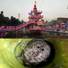 प्राचीन सूर्य मन्दिर परिसरको पोखरीमा ११ किलोको कछुवा फेला, आस्था र पर्यावरणप्रति बढ्यो चासो ।