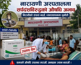नारायणी अस्पतालमा सर्पदंशविरुद्धको औषधि अभाव, बिरामी बढ्दै जाँदा झन् जोखिम।