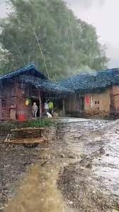 देशभर मनसुनी वायुको प्रभाव कायम रहेको जल तथा मौसम पूर्वानुमान महाशाखाले जनाएको छ।