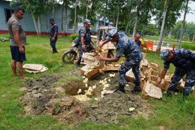 पर्सामा ४ हजार प्रतिबन्धित बोईलर कुखुरा चल्ला सहित मोटरसाइकल  बरामद, खाडल खनेर नष्ट ।