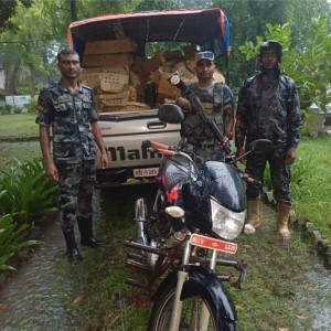 सशस्त्र प्रहरीद्वारा पर्सामा १० हजार प्रतिबन्धित चल्ला नियन्त्रण र नष्ट।