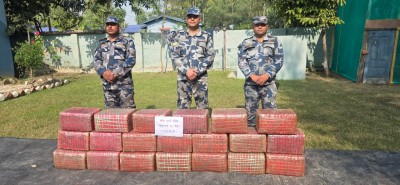 पर्सामा लागुऔषधविरुद्ध सशस्त्र प्रहरीको कडा अभियान, २१३ किलो गाँजा नियन्त्रण।