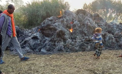 महोत्तरीमा धान खेतमा दाईगर्न तयार पारेर राखेको धान मा आगजनी।