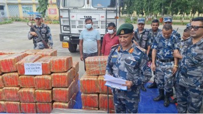 हेटौंडामा सशस्त्र प्रहरीले समात्यो ९१९ किलो गाँजा