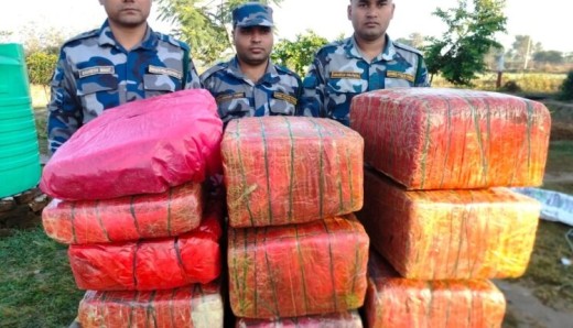 सिमानाबाट भारततर्फ लैजाँदै गरिएको ९१ के.जि. गाँजा सशस्त्र प्रहरीद्वारा बरामद।