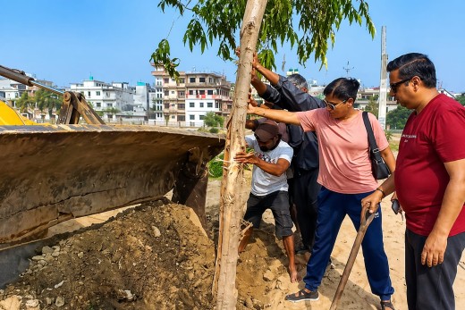 सडक विस्तारसँगै हरियाली जोगाउने पहल : उखेलिएका रुखहरूलाई नयाँ जीवन।