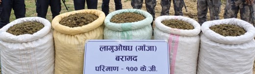 पर्सामा १०० किलोग्राम गाँजा बरामद, मालिकको खोजी जारी।