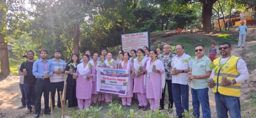 लायन्स क्लब अफ वीरगञ्ज नवदीप एकेडेमीद्वारा भिषवा डाँडामा २०० भन्दा बढी बिरुवा रोपियो।