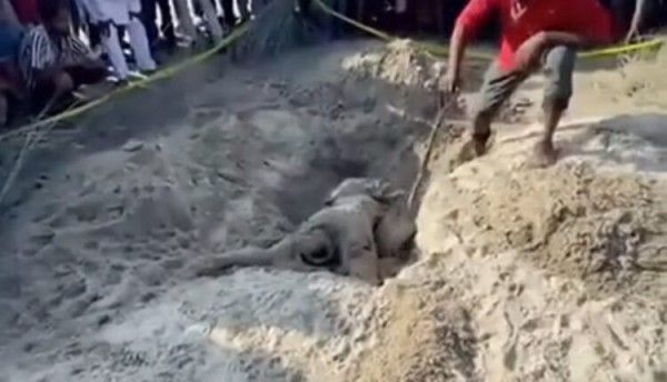 बाराको दुधौरा नदीमा टिकटक भिडियो बनाउने क्रममा बेपत्ता भएका युवकको शव ६ दिनपछि फेला।