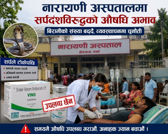 नारायणी अस्पतालमा सर्पदंशविरुद्धको औषधि अभाव, बिरामी बढ्दै जाँदा झन् जोखिम।