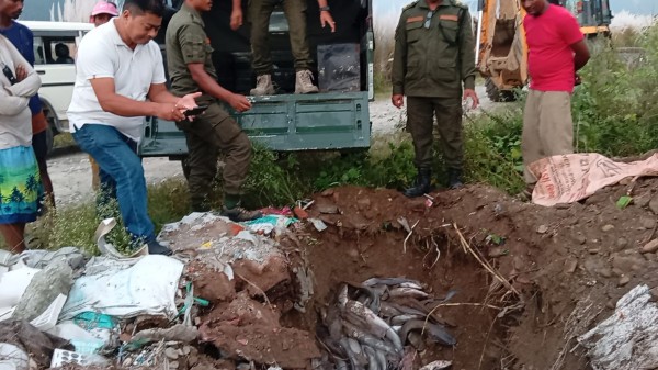 पर्सामा उत्पादित नेपालमै प्रतिबन्धित मागुर माछा हेटौँडामा बरामद, ५ लाख जरिवाना।