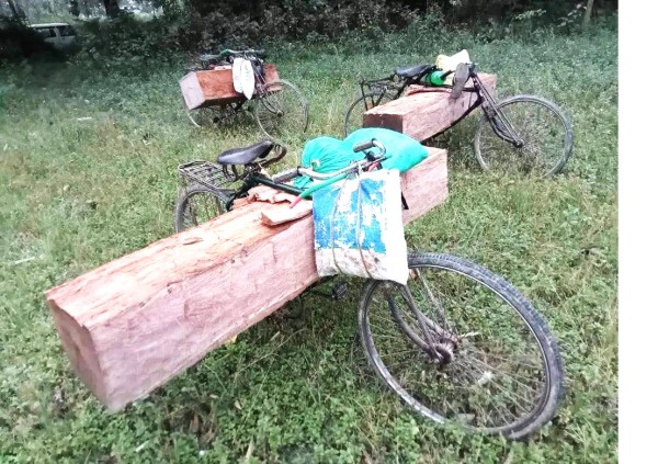 पकडिया ब्रम्हथानबाट २ थान सालको गोलिया काठ सहित साईकल बरामद