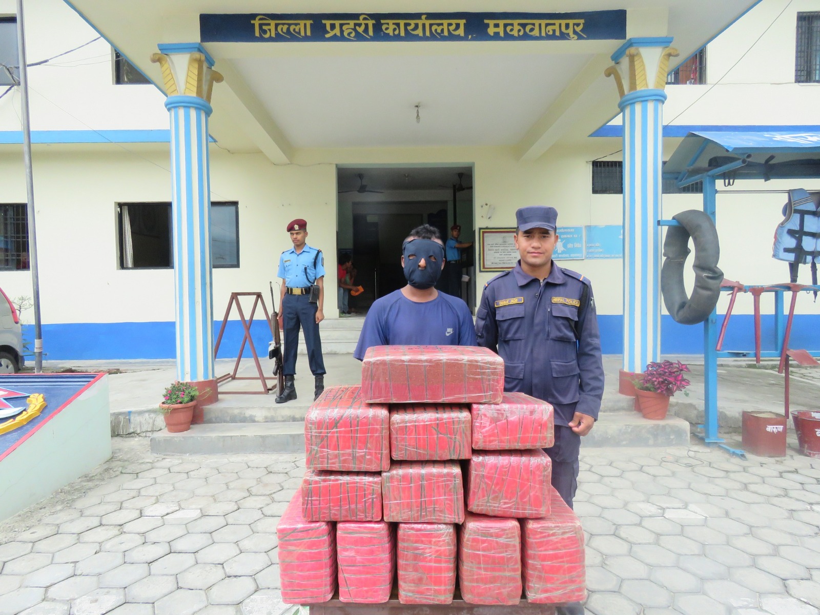 एक क्विन्टल गाँजा सहित हेटौंडाबाट एक जना पक्राउ 